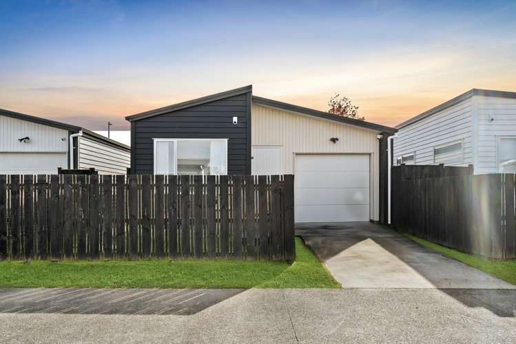 6 Swamp Kauri Grove_2