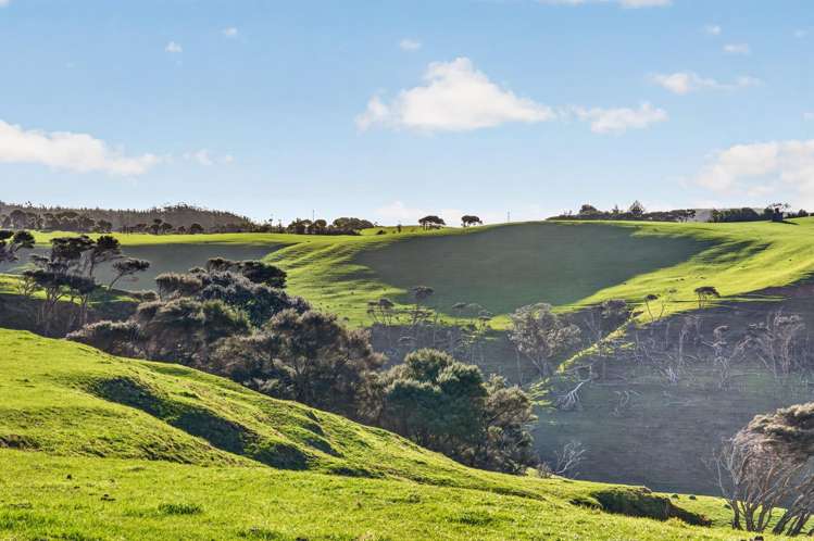 55 Coster Road Muriwai_6