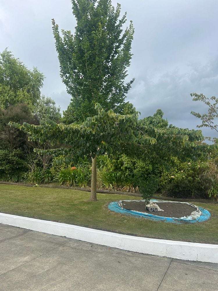 Address withheld Sanson_19