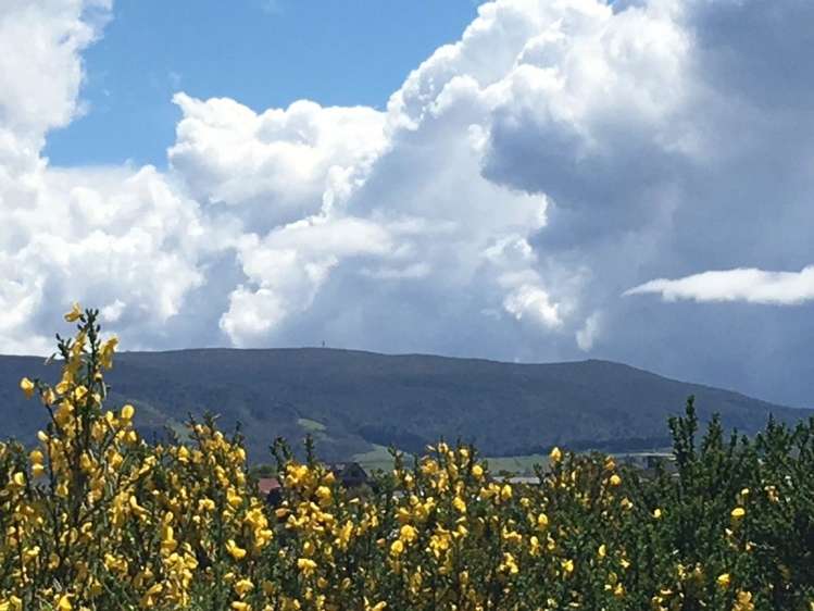 199 Highcliff Road Shiel Hill_9