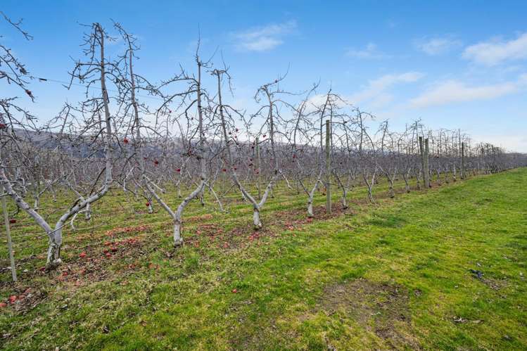 213 Kinaston Road Roxburgh_16