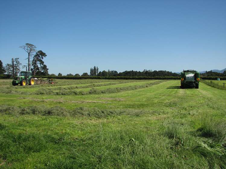 205 Taihoa North Road Matamata_7