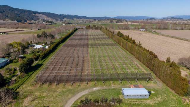 Mixed orchard with immediate possession available