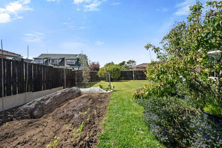 30 Luton Avenue Sunnyhills_18