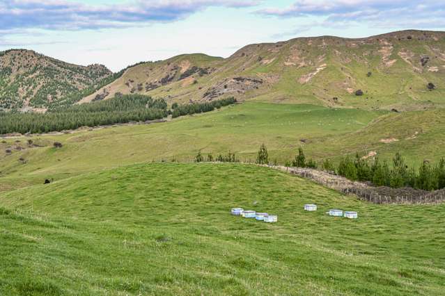 828 Matahorua Road Putorino_3