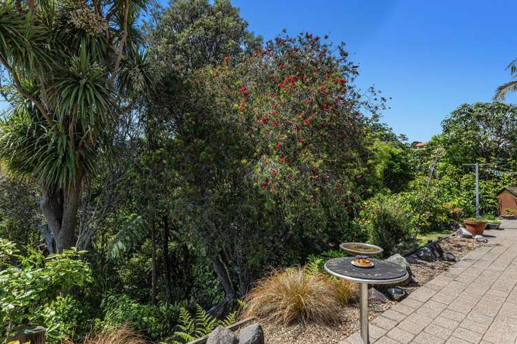 63 Waiewe Street Whakatane_10