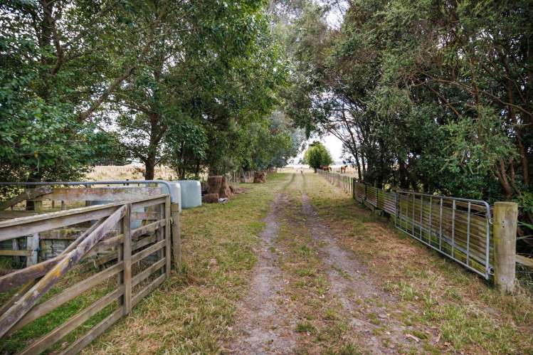 176 Colemans Road Marton_22