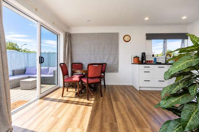 5 Bristol Street Tamatea_3