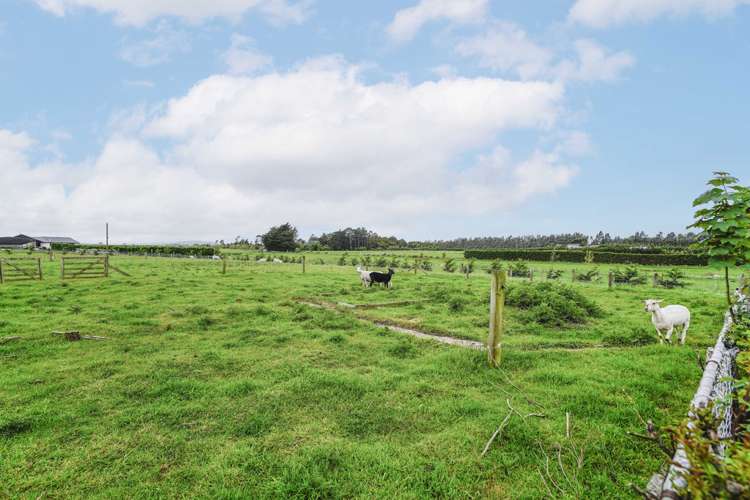 411 Flora East Makarewa_3