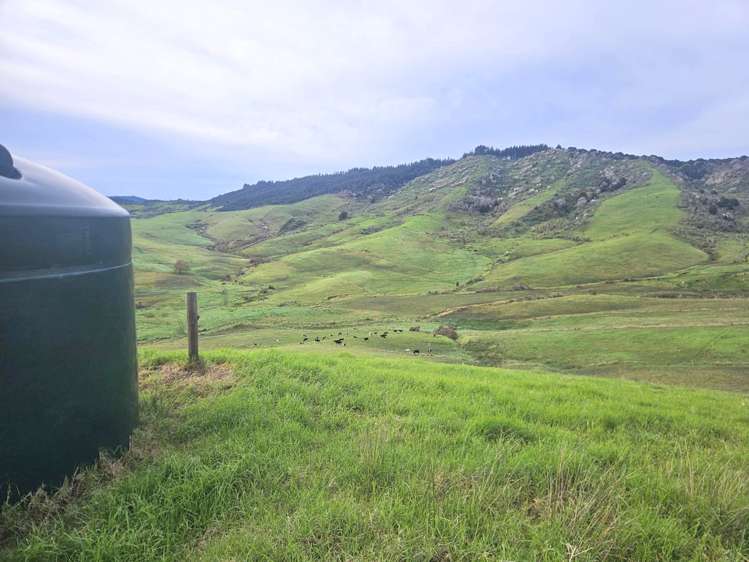 Lot 2/36 Te Moho Road Taipa_19