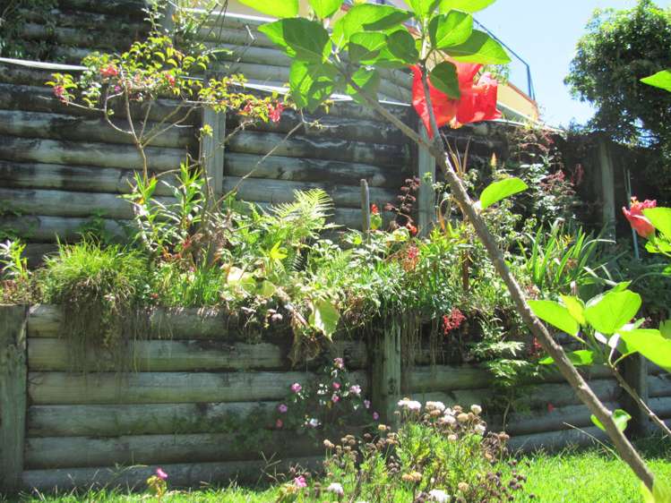 158 Tirohanga Drive Whangamata_19