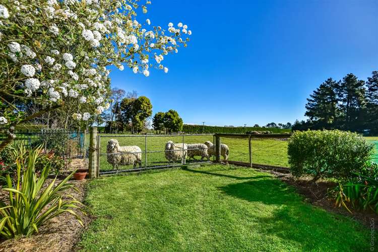 236 Larcombs Road Rolleston_28
