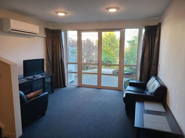 73 Buccleugh St North East Valley_3