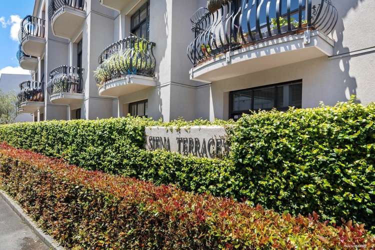 3p/6 Burgoyne Street Grey Lynn_12