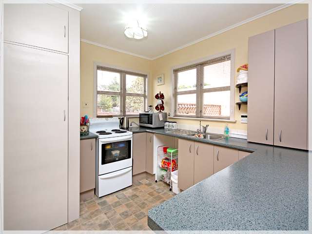 17 Clyde Street Levin_4