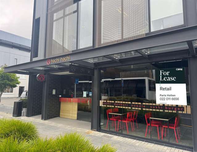 Ground Floor, 177 Victoria Street Christchurch Central_1