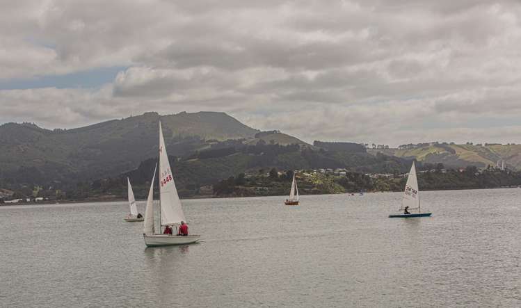 25 Camp Street Broad Bay_11