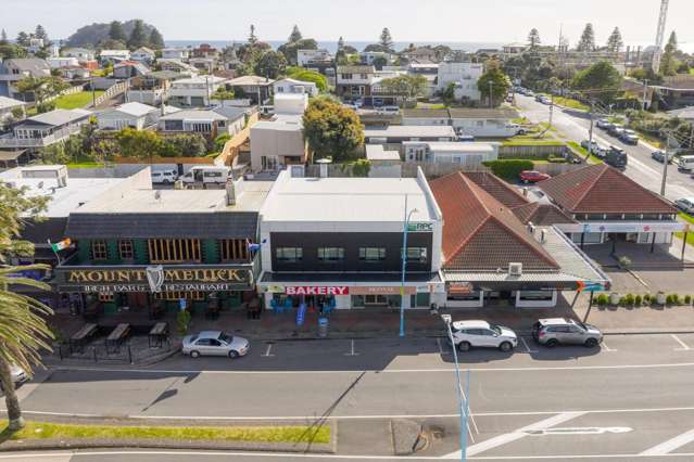 321 Maunganui Road Mount Maunganui_1