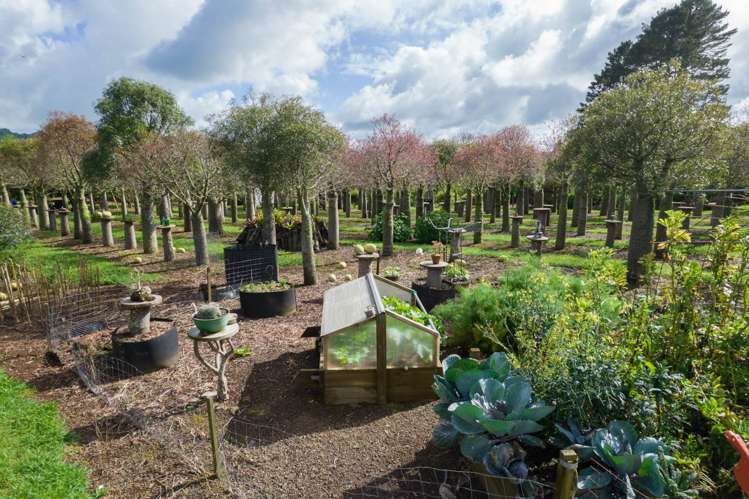 21 Monument Road Kaikohe_25