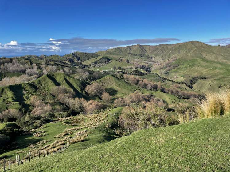 783 Glenroy Road Whangara_7