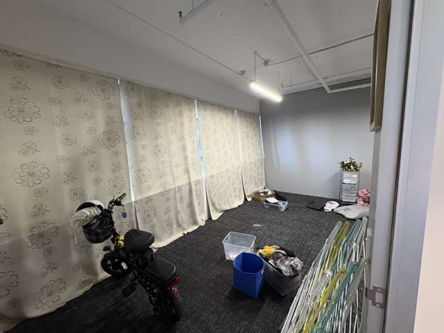 Tenancy 9/4 Williamson Avenue Ponsonby_2