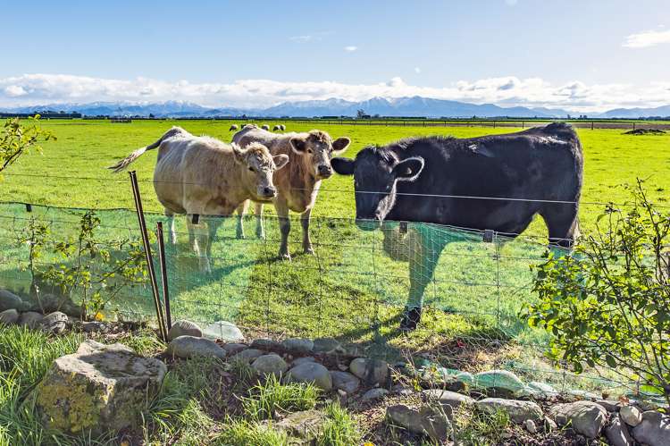 652 Homebush Road Darfield_27