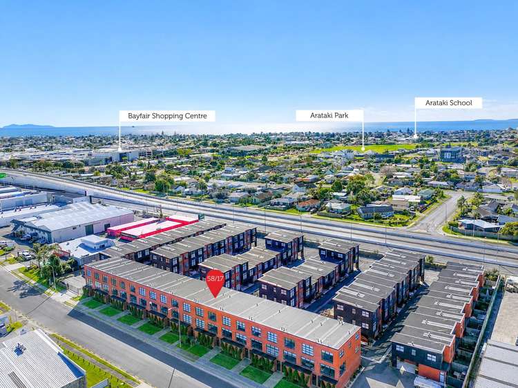 58/17 Owens Place Mt Maunganui_2