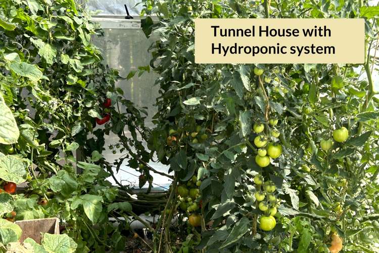 38 Ruataniwha Drive Collingwood_18