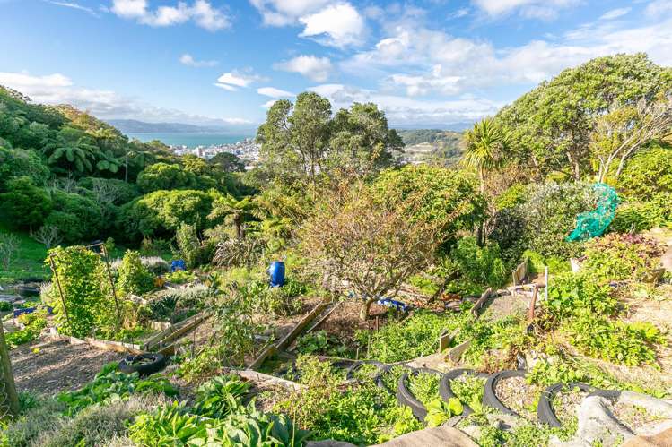 18 Dorking Road Brooklyn_9