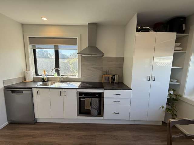 297 Pine Avenue South New Brighton_1