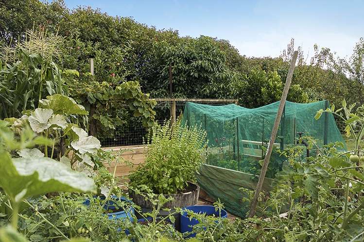 13 Millbrook Drive Waiuku_13