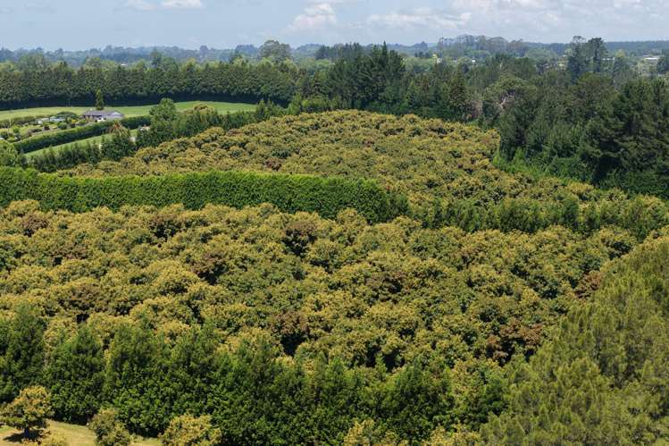 232C Williams Road North Pyes Pa_20