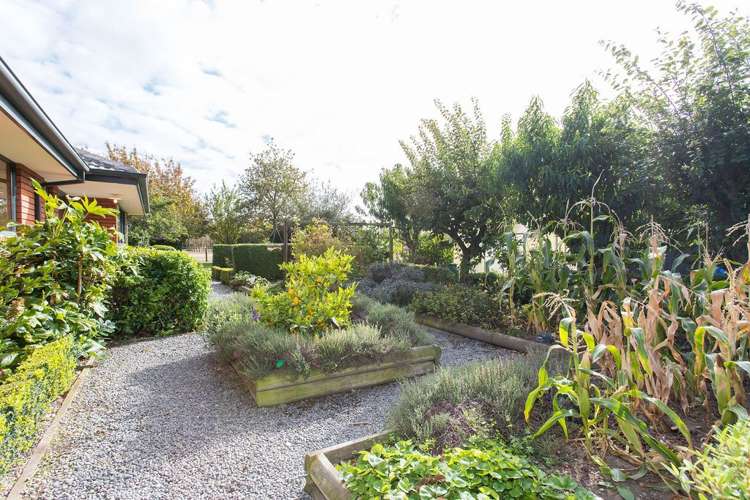 224 Springston Rolleston Road Rolleston_21