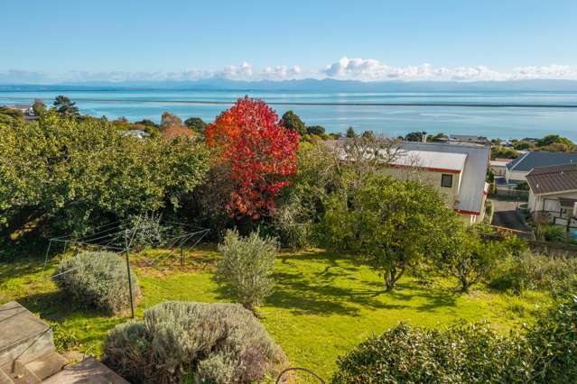 What Will You Pay for these Views? Make an Offer