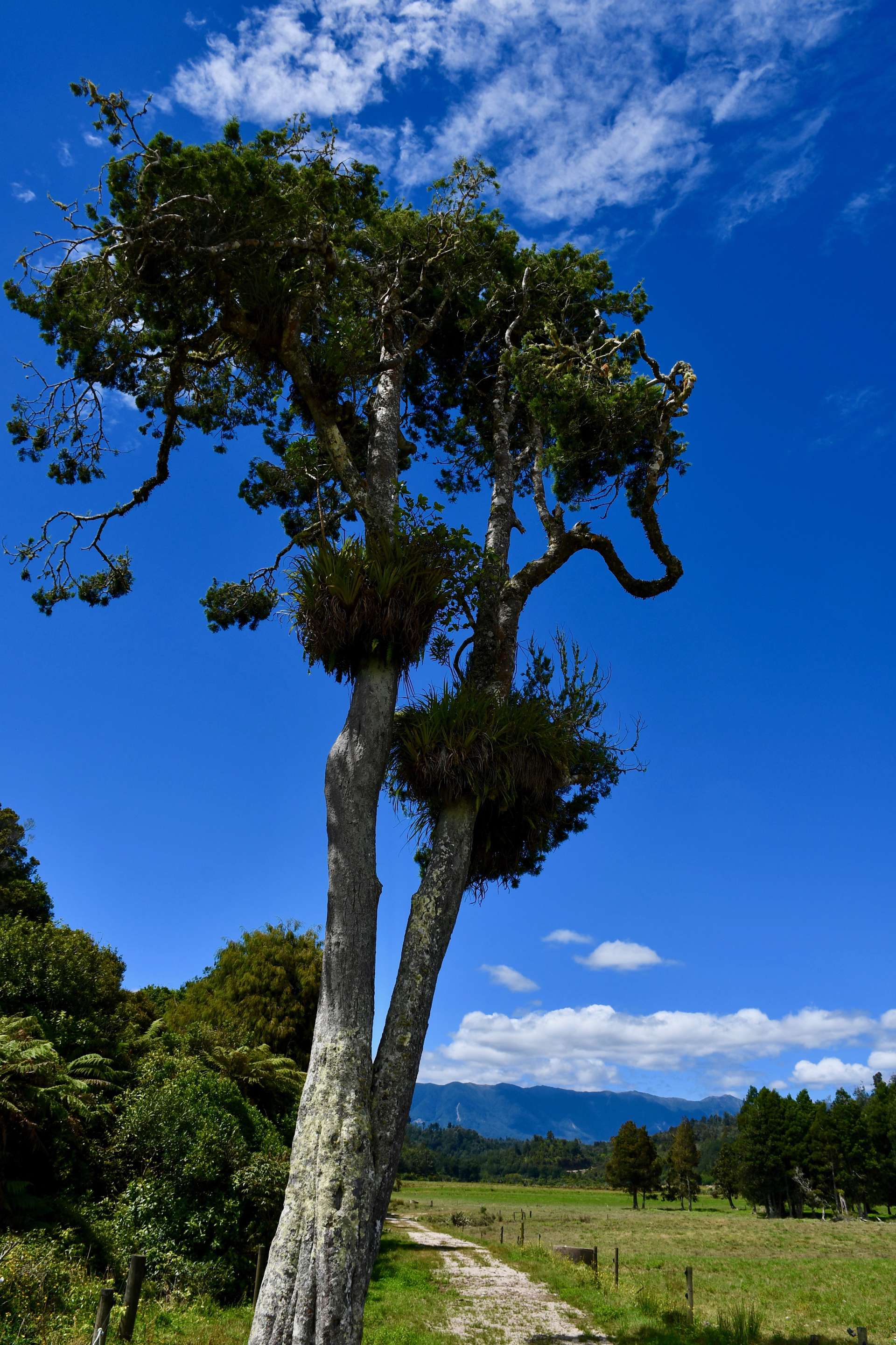 3 27 Kongahu Road Karamea_0