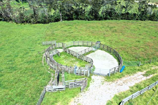 512 Rehutai Road Dargaville Surrounds_2