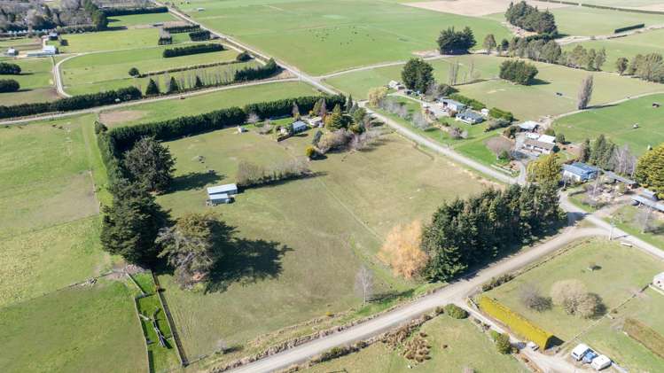 Braudigam Road East Tapanui_16