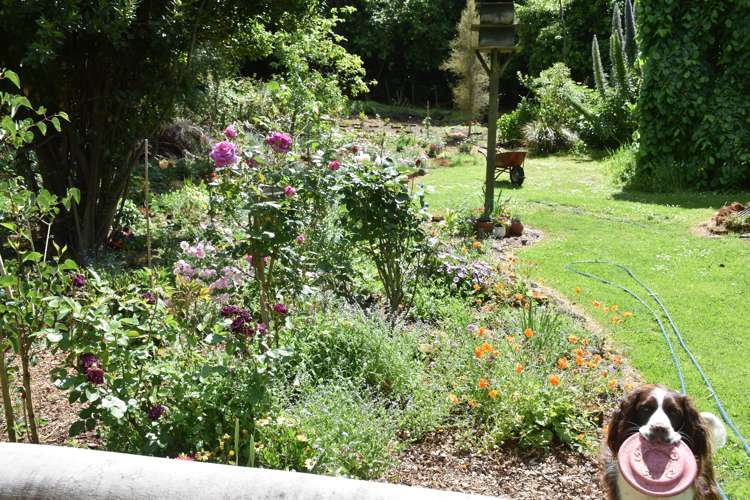 129 Bells Road Takamatua_21