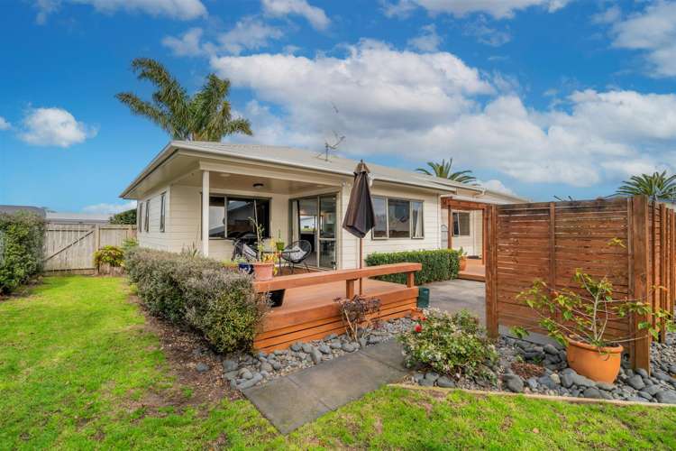 12 Pipi Dune Whitianga_6
