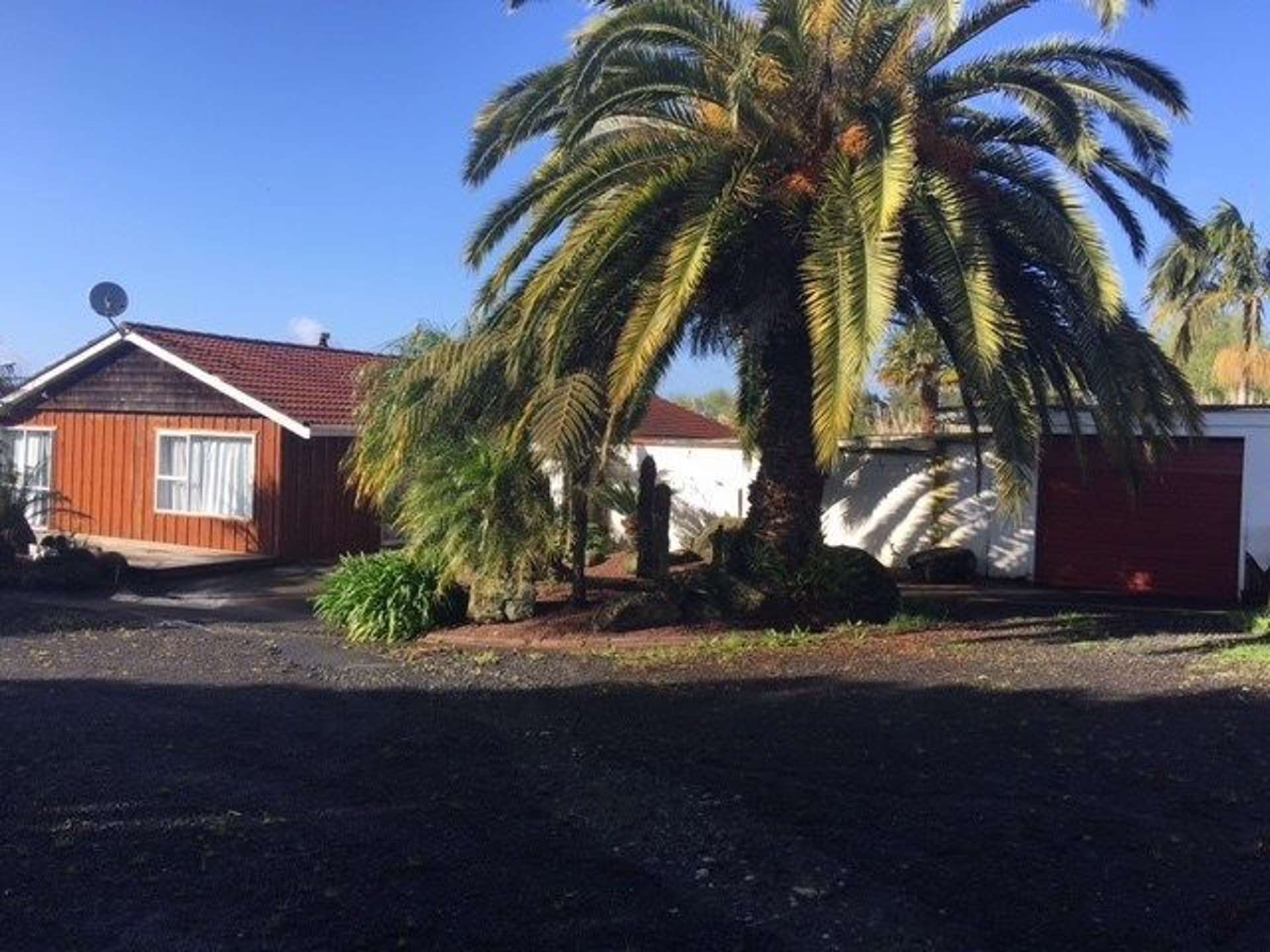 349 Postman Road Dairy Flat_0