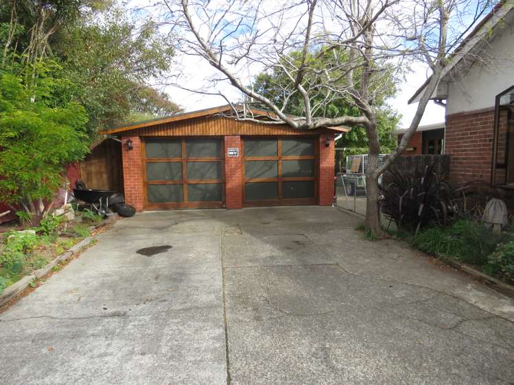 345 Herbert Street Windsor_11