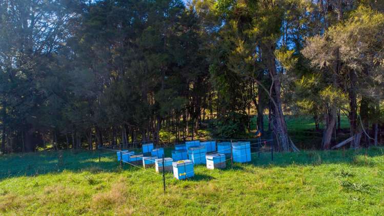 281 Tadmor Valley Road Tapawera_52