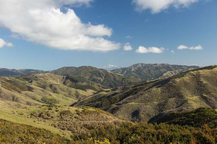 200 Parkvale Road Wilton_34