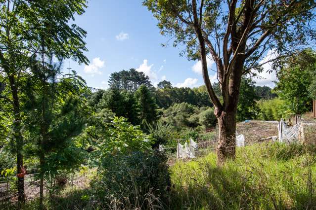 275 Rimmer Road Helensville_3