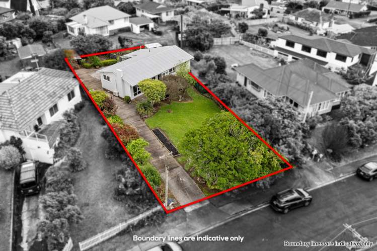 34 & 36 Boyce Avenue Mt Roskill_1