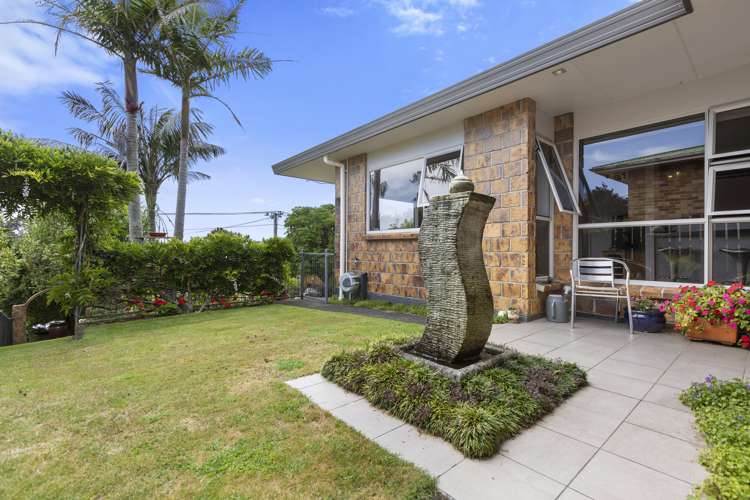 10 Hursthouse Street Vogeltown_24