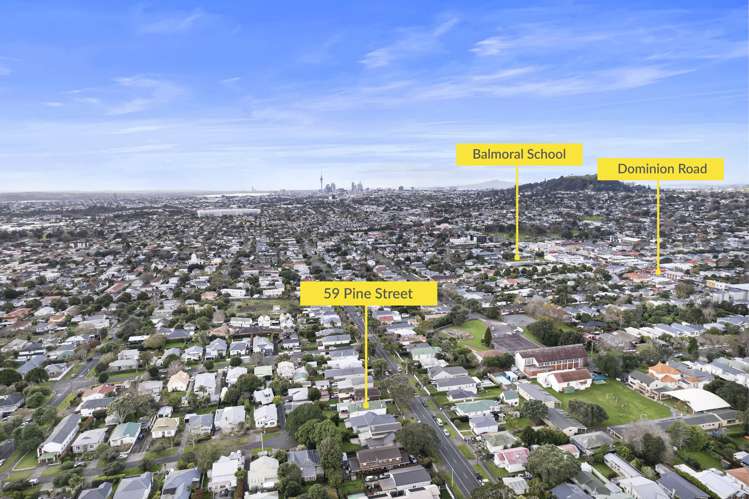 59 Pine Street Mount Eden_22