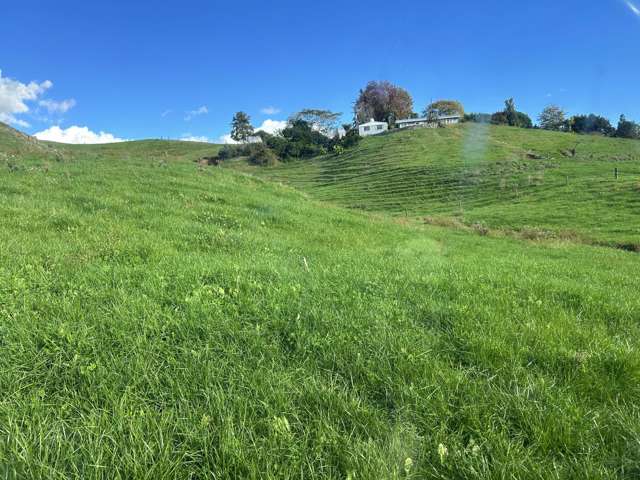 1/627 Waitomo Valley Road Otorohanga_3
