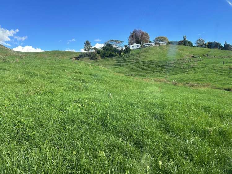 1/627 Waitomo Valley Road_3