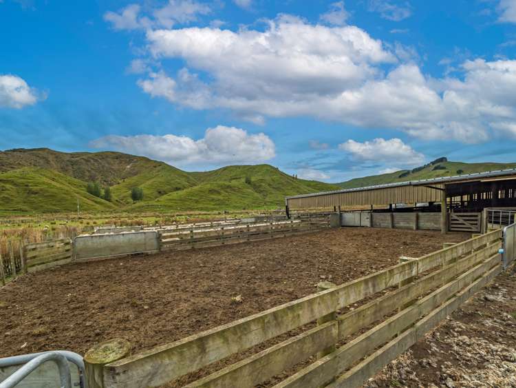 1068 Hinemoa Valley Road Pahiatua_24